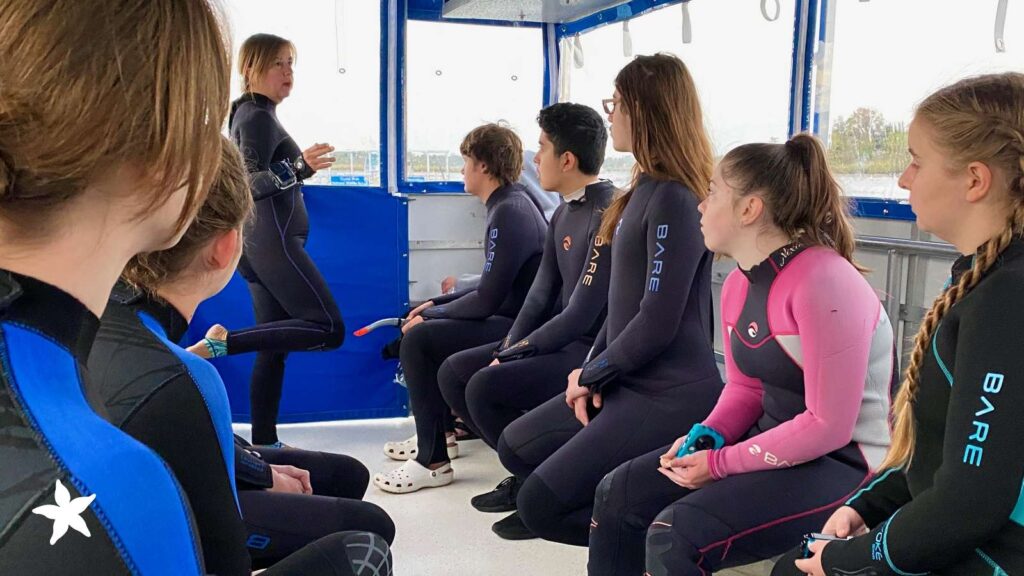 SSE-homepage-carousel—group_diving_gear-